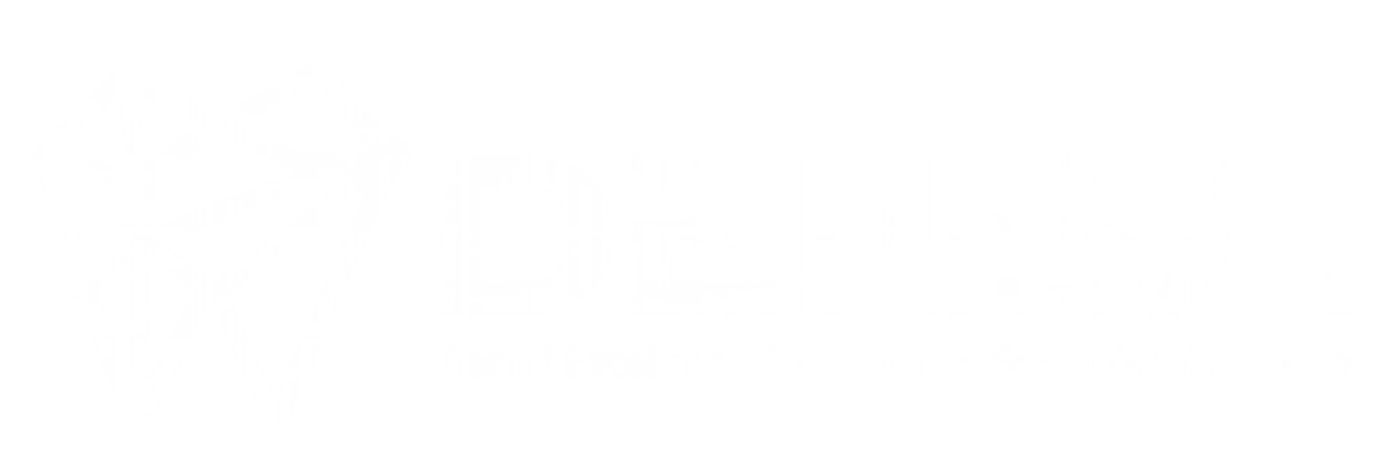 DENSA logo
